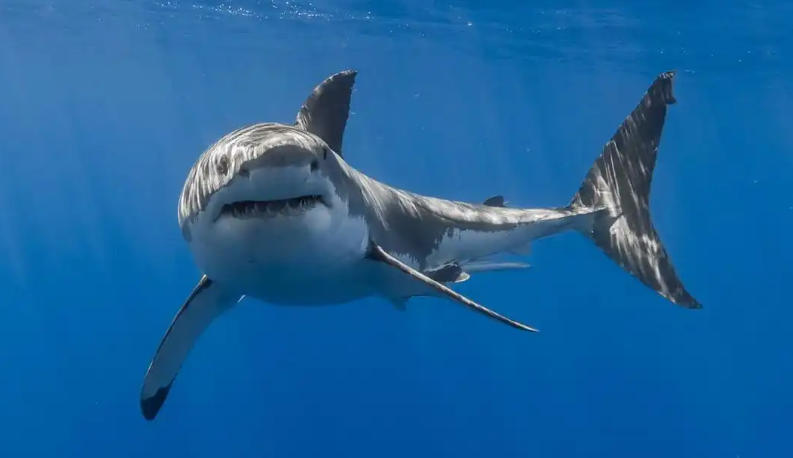 河南砂石骨料建材有限公司轮播图2